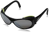 Julbo Explorer Glacier Glasses