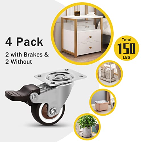 Molen 1.5" Low Profile Casters Wheels Soft Rubber