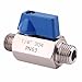 DERNORD Stainless Steel Ball Valve - 1/4 Inch NPT Thread Male Small Mini Ball Valve (1/4