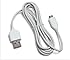 Amazon Kindle Replacement USB Cable, White (Works with Kindle Fire, Touch, Keyboard, DX, and Kindle) SHIPPING FROM USA (1, White)