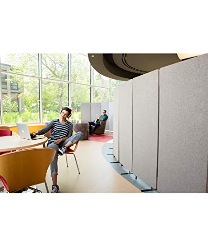 ReFocus Acoustic Room Dividers | Office Partitions – Reduce Noise and Visual Distractions with These Easy to Install Wall Dividers (24" X 66", Cool Gray)