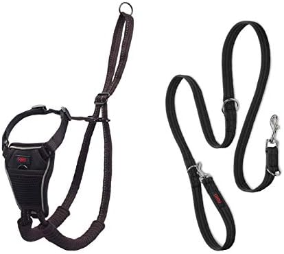 combination harness