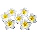 GOEGE 100 Pcs Diameter 2.4 Inch Artificial Plumeria Rubra Hawaiian Flower Petals for Wedding Party Decoration