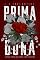 Livro Prima-dona: Porque todas as flores são perfeitas