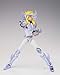 Bandai Tamashii Nations Saint Cloth Myth Ex Cygnus Hyoga Action Figure