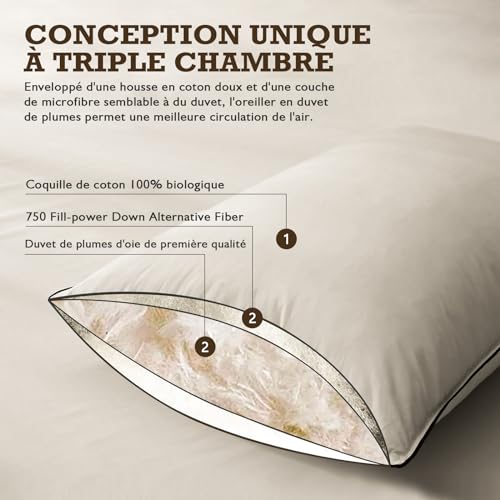 BPC Organic Feather Duvet Pillow 60 x 60 cm Pack of 2, Luxury Hotel Pillow with 3 Bedrooms, Pillow 60 x 60 cm Duvet with 100% Cotton Cover and Goose Feather Filling, White