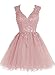 JAEDEN Homecoming Dresses for Teens Short - Prom Dress 2024 HOCO Dresses Lace V Neck Tulle Blush US12