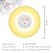AKDSteel Sunrise Alarm Clock Wake Up Light Night Lights Simulation Bedside Lamp with 7 Colors, Dimmable Brightness, Nature Sounds, FM Radio, Snooze Mode, Touch Control and USB Charger