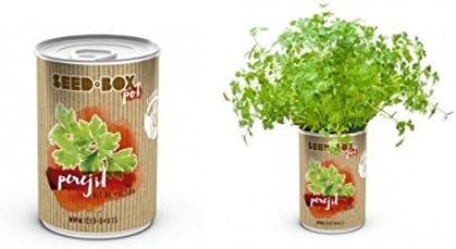 Huerto urbano pequeño – LATA de Cultivo casero de PEREJIL – Bote ...