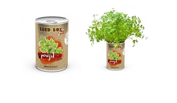 Huerto urbano pequeño – LATA de Cultivo casero de PEREJIL – Bote ...
