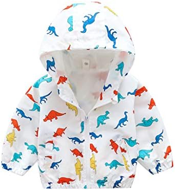 baby dinosaur jacket