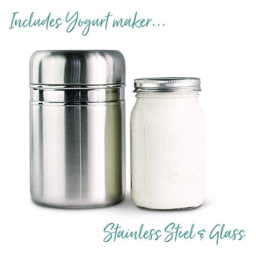 Complete Yogurt and Butter Making Kit: Probiotic Yogurt Starter - Best Yogurt Maker - Wooden Butter Paddles - 82 pg. DIY Recipe Book for Butter and Yogurt Your Way