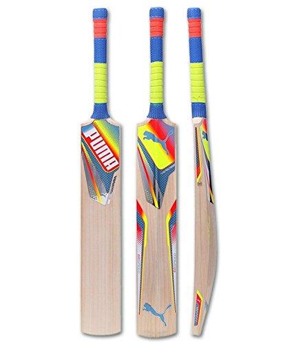 Puma kashmir willow cricket bat evo speed full size with cover (8…