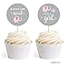 Andaz Press Pink Girl Elephant Baby Shower Collection, Cupcake Topper DIY Party Favors Kit, Babies are Sweet! It's a Pink Girl!, 20-Pack