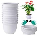 DeElf 10 Sets Plastic Flower Pots 6 inch Planters with Drainage and Saucers for Modern Indoor Plants, Orchid, Herbs, Succulents, Cactus, and Seeding Nursery, White Color, Bulk