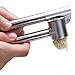 Oye Stainless Steel Garlic Press