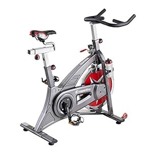 inSPORTline Signa Indoor Cycling Spinning Bike | Ultra-Quiet Fitness Bike Fitness Cardio Trainer | Workout Equipment for Home | Adjustable Seat | 18 KG flywheel