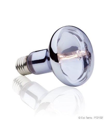 Exo Terra 75W Daylight Halogen Lamp - Image 2
