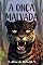 Livro A ONÇA MALVADA