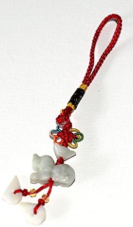 Year of The Dog Chinese Zodiac FENG Shui Jade Hanging Good Luck Charm ON A RED Cord(Chinese Feng Shui for Good Fortune and Happiness)