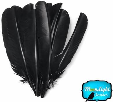 6 Pieces - Black Turkey Pointers Primary Wing Quill Large Feathers Fletching DIY Halloween | Moonlight Feather