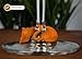 OSABO | Colorful Cats Wine Glass Markers | High Quality, Silicone Kitty Drink Markers | Set of 6 Wine Accessories