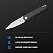 Kizer Lundquist Feist Liner Lock Front Flipper Knife Shred CF (2.8