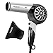 Professional Ionic Hair Dryer, Quiet 1875W Blow Dryer with Ceramic Tourmaline, Powerful Salon Dryers - Best Lightweight Hairdryer - Silver&Black