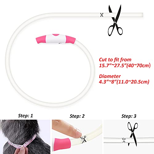 PZRLit Lighted Dog Collar LED-USB Rechargeable, Adjustable TPU Cut to Size Light Up Dog Collar for Small Medium Large Dogs, Safety Glow Puppy Collar for Night Walking (Candy Pink)