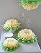 Butterfly Craze Girls Party Decorations - Set of 7 Tissue Paper Flowers … (Pink)