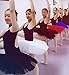 WENDYWU Women Professional Swan Ballet Tutu Skirt Hard Organdy Platter Performance Leotard Skirt