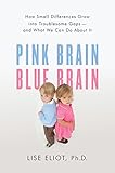 Pink Brain, Blue Brain: How Small Differences Grow Into Troublesome Gaps -- And What We Can Do About It