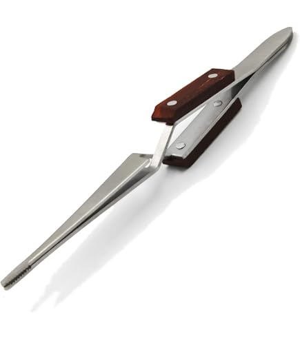 thumbnail image 2 of Cross Locking Tweezers – Blunt Tip, Self Closing, Rigid Holding, 6-1/2”, Stainless Steel, JTS 2 of 5
