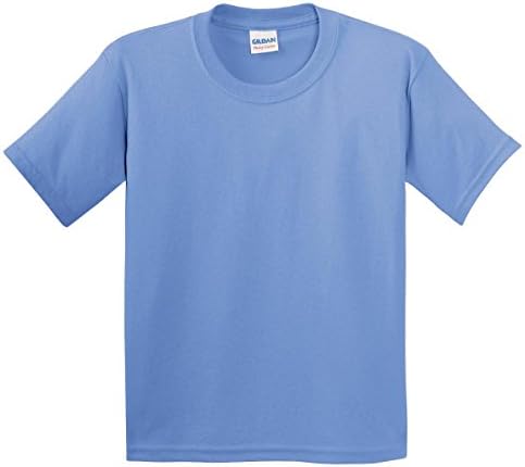 Amazon.com: Gildan G500B Youth Heavy Cotton T-Shirt - Electric