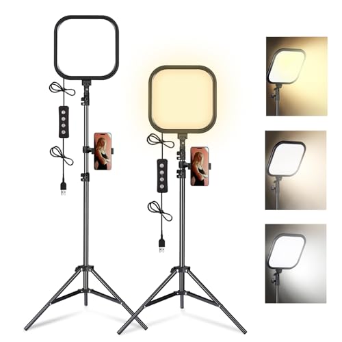 LED Video Light Kit with Tripod and Holder
