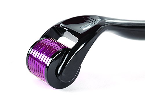ORA Derma Roller Skin Care Tool (0.25mm Needles) - Anti-Wrinkles, Scars, Stretch Marks (Purple Head, Black Body)