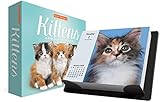 2019 Keith Kimberlin Kittens Day-at-a-Time Calendar by 