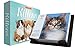 2019 Keith Kimberlin Kittens Day-at-a-Time Calendar by 