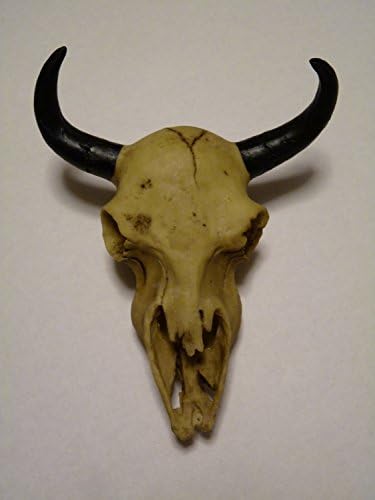 Polyresin 8" Buffalo Skull Realistic Faux Taxidermy Decoration