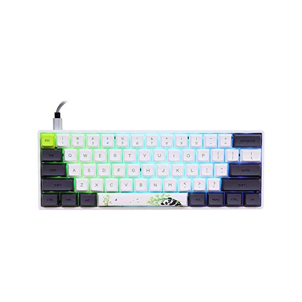 EPOMAKER SKYLOONG SK61 61 Keys Hot Swappable Mechanical Keyboard with RGB Backlit, NKRO, water-resistant, Type-C Cable…