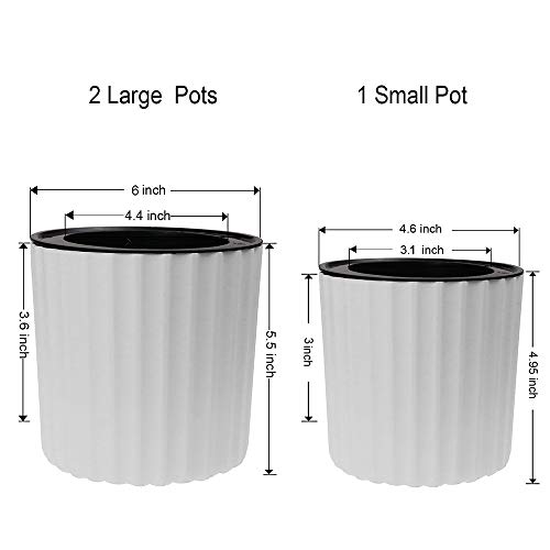 MUZHI Orchid Pot with Net and Holes, Round Self Watering Planter Pot for Indoor Plants and Flowers 3 Sets White
