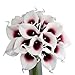 Angel Isabella, LLC 20PC Set of Bright Burgundy Premium Quality Real Touch Calla Lily Long Lasting Colors Eco-Friendly