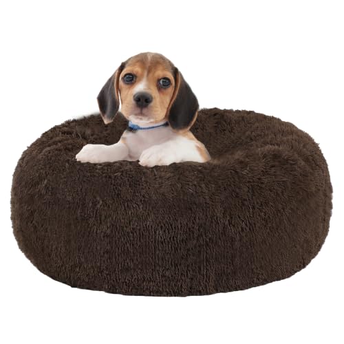 Dwanton Orthopedic Small Donut Dog Bed & Cat Bed, Gel Memory Foam, 24" at Amazon