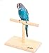 Portable Parrot Training Perches Birdcage Decor Weight Scale Stand, Parakeets Playground Window T Perch Fits for Concures Cockatiel Finch Love Birds 7.8