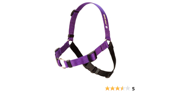 sensation dog harness