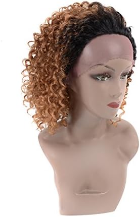 Yaki Beauty Ombre Lace front Wig Long hair Afro Kinky Curly Hair Synthetic Wig for Black Women Heat Resisitant 14 inches 1b-27#