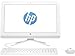 HP Pavilion 19.5 Inch All-in-One Premium Flagship Desktop Computer (Intel Dual Core Celeron J3060 1.6GHz, 4GB RAM, 1TB HDD, DVD, HDMI, USB 3.0, Webcam, WiFi, Windows 10) (Renewed)
