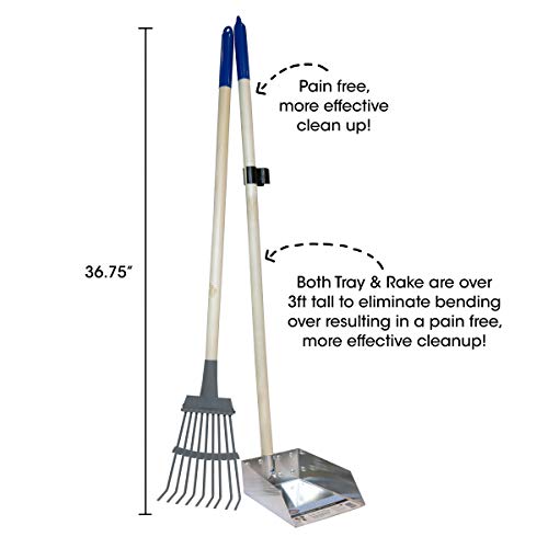 Spotty Wood Handle Pooper Scooper Durable Solid Metal Poop Tray with