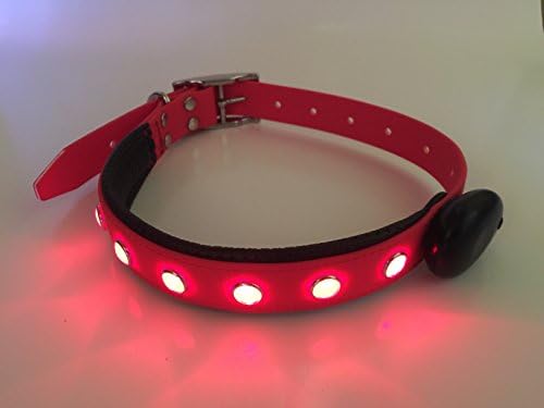 Amore Mio patented Luxury Dog Collar with 6 flashing LED lights, 4 mode settings, strong material, USB cable for recharging, 100% water proof, easy clean, for medium and large dogs (Red)