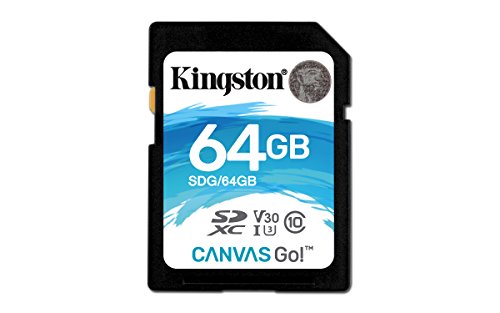 Kingston Canvas Go! 64GB SDXC Class 10 SD Memory Card UHS-I 90MB/s R Flash Memory Card (SDG/64GB) (Best Day Trips From Raleigh Nc)